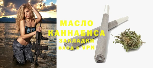 хмурый Аркадак