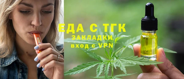 хмурый Аркадак