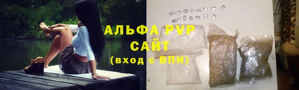 хмурый Аркадак