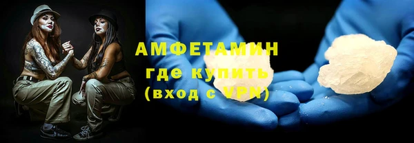 хмурый Аркадак