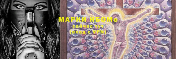 хмурый Аркадак