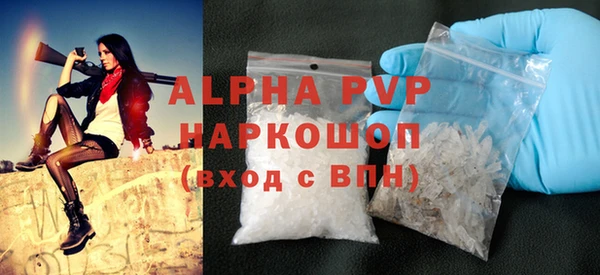 хмурый Аркадак