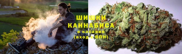 хмурый Аркадак