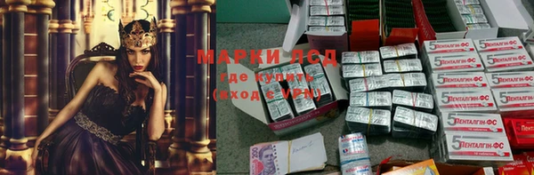хмурый Аркадак